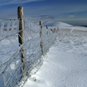 Glaze ice forming on fence leading to Lonscale Fell from Skiddaw