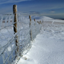 Glaze ice forming on fence leading to Lonscale Fell from Skiddaw