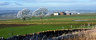 View of Long Ashes Farm near Penrith on a sunny winter morning with hoar frost on trees