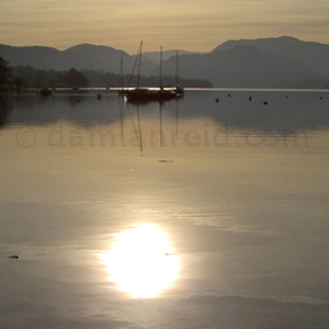 Gulls, some perched, some flying at Keswick Boat Landings, Derwentwater, Lake District