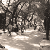 People cycling in tree lined street in Beijing, 1999