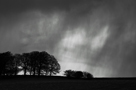 Heavy downpour with rain falling in sheets on Berrier Hill, near Greystoke, North Lake District, Cumbria