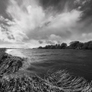 River Eden meets the tidal waters of the Solway Firth near Beaumont, Cumbria. Swans flying with grasses in foreground and dramatic sky