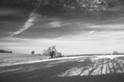 Black and white image of shadows and snow in the Eden Valley, near Luham Lane, Cumbria