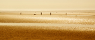 Children playing while parents stroll on a relaxed afternoon on the golden sands of Allonby Beach, west coast of Cumbria