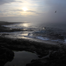 View north across Blackrocks through misty light near Bamburgh, Northumberland, Northumbria