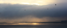 Sunset over Links End across Budle Bay, Northumerland, Northumbria