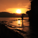 Rainfall at sunset as a lady strolls with lurcher dog and umbrella beside River Tweed on wet Pier Road Berwick-Upon-Tweed, Northumberland